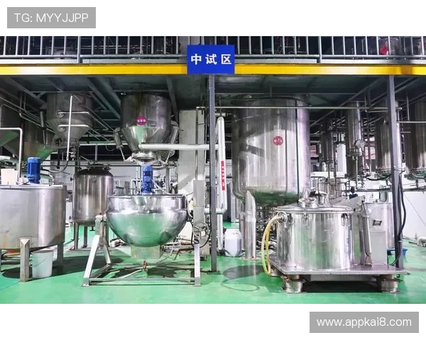 凯发集团网站官网安全保障措施全面解析，保障用户资金与信息安全的最佳实践